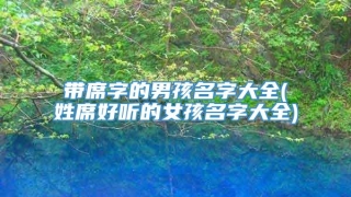 带席字的男孩名字大全(姓席好听的女孩名字大全)