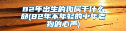 82年出生的狗属于什么命(82年不年轻的中年老狗的心声)