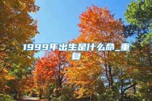 1999年出生是什么命_重复