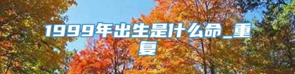 1999年出生是什么命_重复
