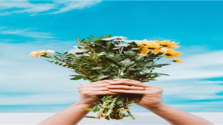 店铺招财金蟾如何摆放(很多商店里都摆放金蟾)