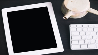 爱新觉罗启星和启迪(爱新觉罗启星是谁的后裔)