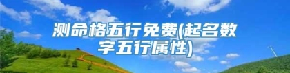 测命格五行免费(起名数字五行属性)