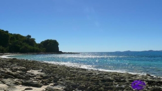 八卦五行代表那个生肖(八卦五行代表的什么意思)