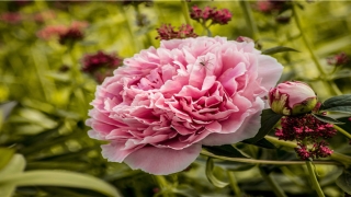 2021牛年生在几月份好(2021女宝宝起名字大全)_重复