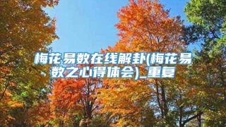 梅花易数在线解卦(梅花易数之心得体会)_重复