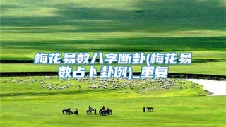 梅花易数八字断卦(梅花易数占卜卦例)_重复