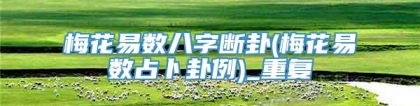 梅花易数八字断卦(梅花易数占卜卦例)_重复