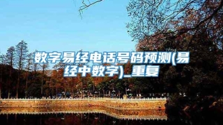 数字易经电话号码预测(易经中数字)_重复