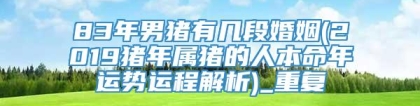 83年男猪有几段婚姻(2019猪年属猪的人本命年运势运程解析)_重复