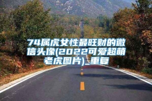 74属虎女性最旺财的微信头像(2022可爱超萌老虎图片)_重复