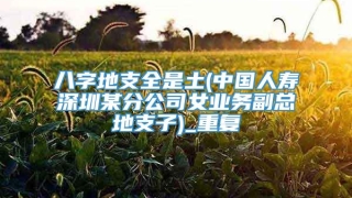 八字地支全是土(中国人寿深圳某分公司女业务副总地支子)_重复