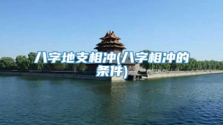 八字地支相冲(八字相冲的条件)