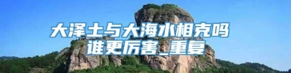 大泽土与大海水相克吗 谁更厉害_重复