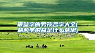 带益字的男孩名字大全(益两字的益是什么意思)