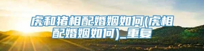 虎和猪相配婚姻如何(虎相配婚姻如何)_重复