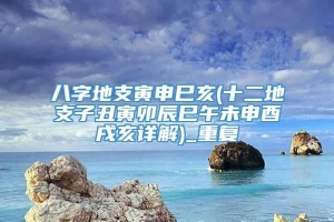 八字地支寅申巳亥(十二地支子丑寅卯辰巳午未申酉戌亥详解)_重复