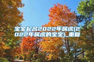 宝宝起名2022年属虎(2022年属虎的宝宝)_重复