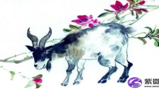 鼻子总是红色的怎么办(鼻子粉红色怎么回事)