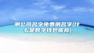 测公司名字免费测名字(什么是数字钱包昵称)
