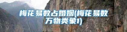 梅花易数占婚姻(梅花易数万物类象1)