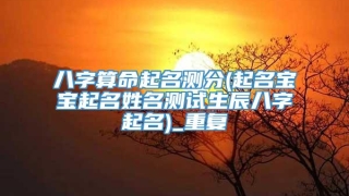 八字算命起名测分(起名宝宝起名姓名测试生辰八字起名)_重复