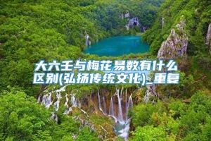 大六壬与梅花易数有什么区别(弘扬传统文化)_重复