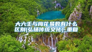 大六壬与梅花易数有什么区别(弘扬传统文化)_重复