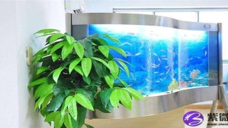 眉毛看相有痣的介绍