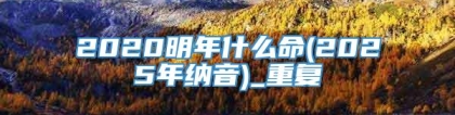 2020明年什么命(2025年纳音)_重复