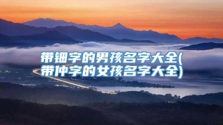 带钿字的男孩名字大全(带仲字的女孩名字大全)