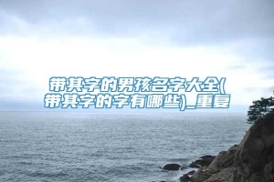 带其字的男孩名字大全(带其字的字有哪些)_重复