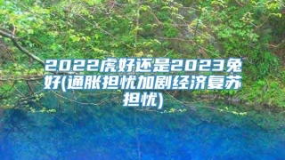 2022虎好还是2023兔好(通胀担忧加剧经济复苏担忧)