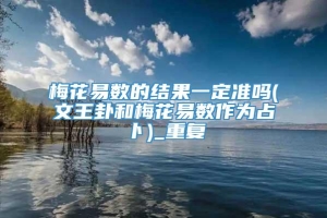 梅花易数的结果一定准吗(文王卦和梅花易数作为占卜)_重复