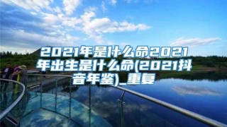 2021年是什么命2021年出生是什么命(2021抖音年鉴)_重复