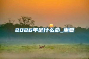 2026年是什么命_重复