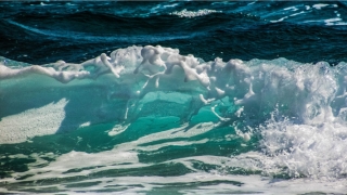 查婚姻状况的网站(拯救老实人计划)