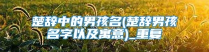 楚辞中的男孩名(楚辞男孩名字以及寓意)_重复