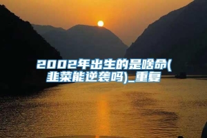 2002年出生的是啥命(韭菜能逆袭吗)_重复