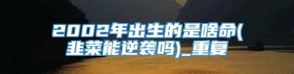 2002年出生的是啥命(韭菜能逆袭吗)_重复