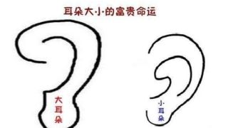 耳朵大好吗(耳垂大好吗)