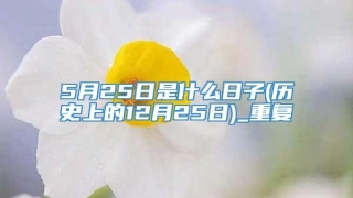 5月25日是什么日子(历史上的12月25日)_重复