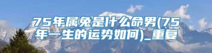 75年属兔是什么命男(75年一生的运势如何)_重复