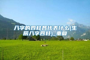 八字的四柱各代表什么(生辰八字四柱)_重复