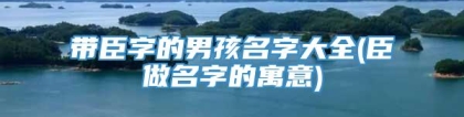 带臣字的男孩名字大全(臣做名字的寓意)