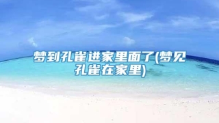 梦到孔雀进家里面了(梦见孔雀在家里)