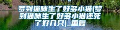 梦到猫咪生了好多小猫(梦到猫咪生了好多小猫还死了好几只)_重复