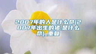 2007年的人是什么命(2007年出生的猪,是什么命)_重复