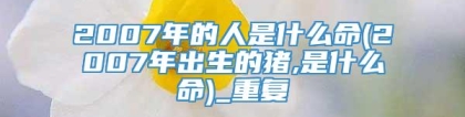 2007年的人是什么命(2007年出生的猪,是什么命)_重复