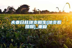 夫妻日柱地支相生(地支看婚姻)_重复